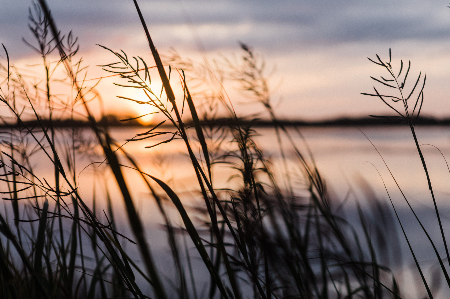 travel-photography-sunset-virginia-beach-reeds